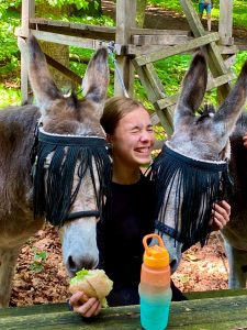 Eselwanderung im Weserbergland begeistert Ferienpass-Kinder